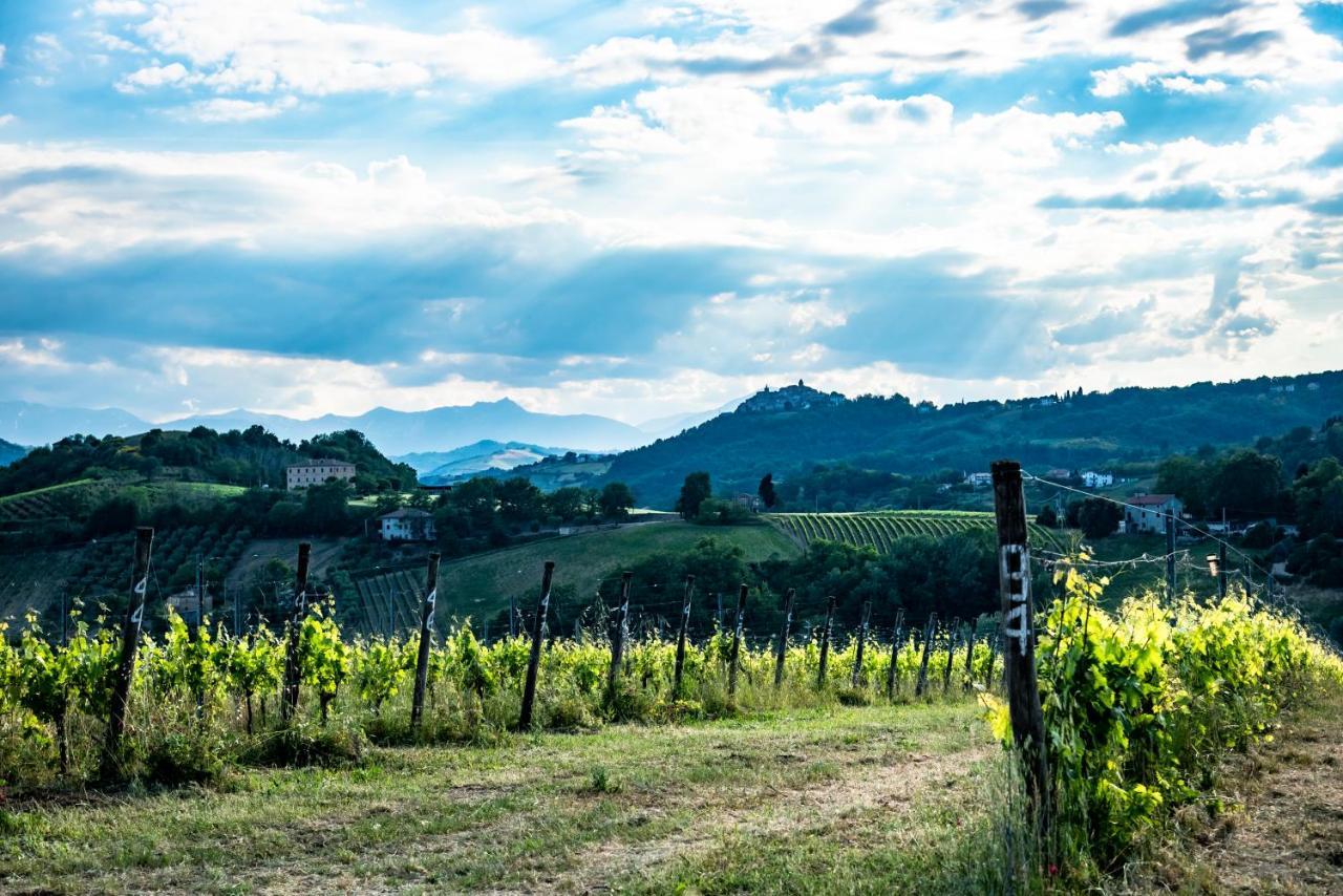 Recchi Franceschini Bike Hotel Last - Minute - Availability Montalto delle Marche Exterior photo